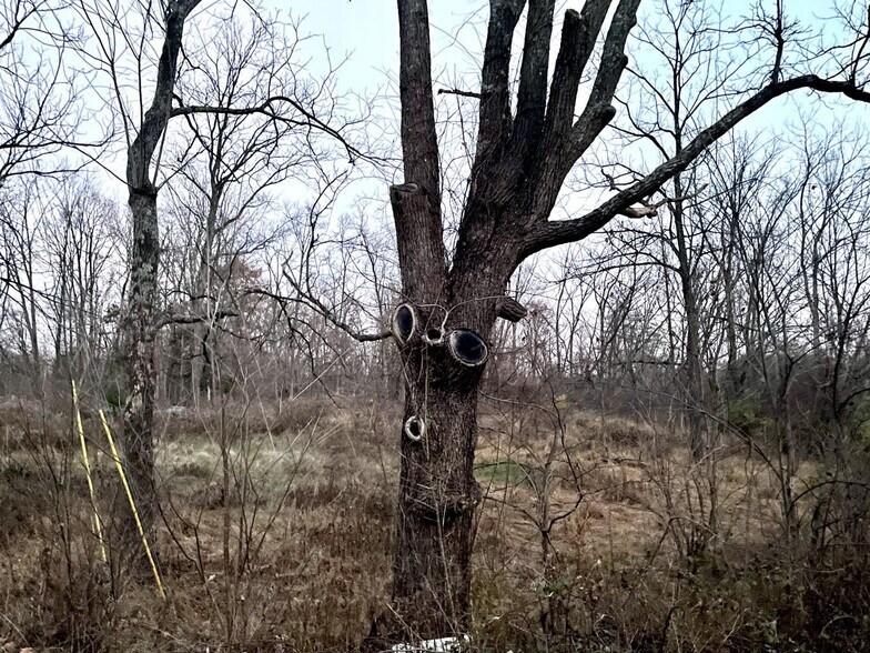 13022 Route 9W, West Coxsackie, NY à vendre - Photo du bâtiment - Image 2 de 8