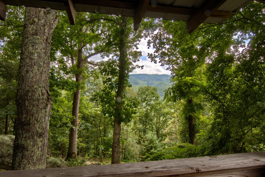 5830 NC 209 Hwy, Hot Springs, NC for sale - Primary Photo - Image 3 of 74