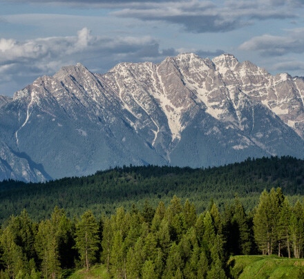 277 Shadow Mtn Blvd, Cranbrook, BC à vendre - Autre - Image 2 de 3