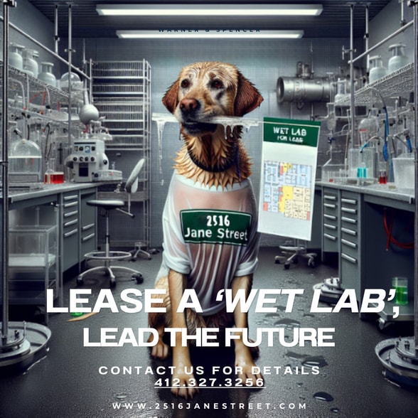 2516 Jane St, Pittsburgh, PA for lease - Interior Photo - Image 3 of 24