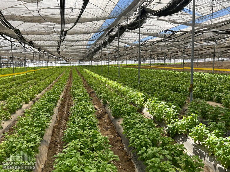 78100 Harrison St, Thermal, CA à vendre - Photo du bâtiment - Image 3 de 40