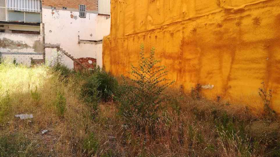 Carrer de Murillo, 112, Terrassa, Barcelona à vendre - Autre - Image 3 de 3