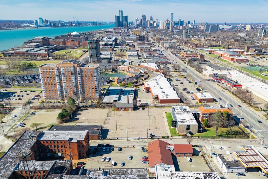 301 Mount Elliott St, Detroit, MI à vendre - Photo du bâtiment - Image 2 de 20