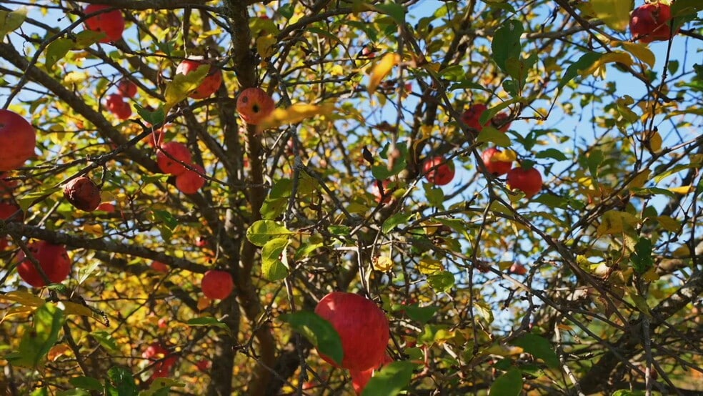 2441 7th Line, Port Hope, ON à vendre - Vidéo sur l’inscription commerciale - Image 2 de 17