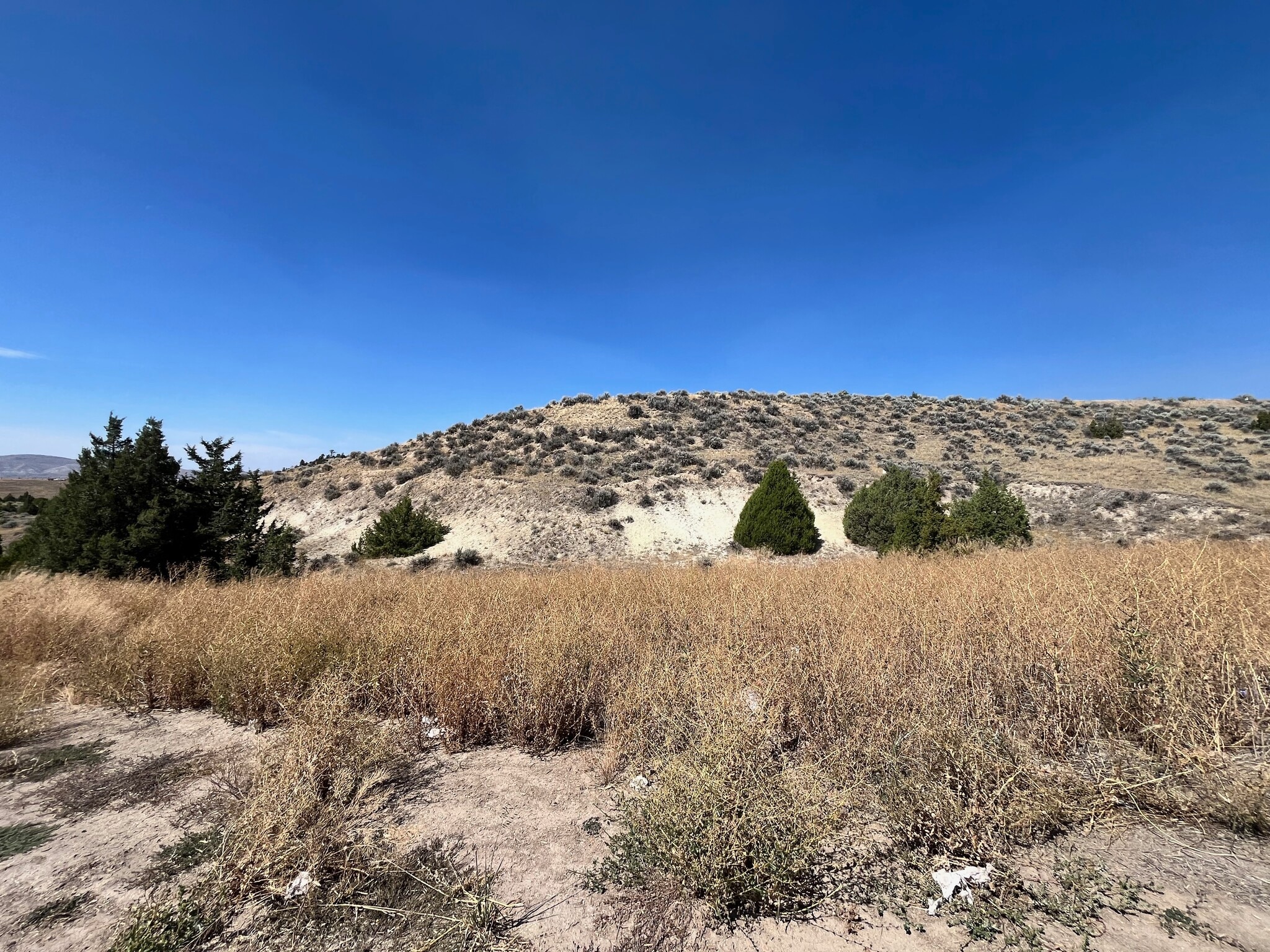 TBD Homestead Road, Three Forks, MT for sale Primary Photo- Image 1 of 17