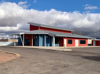 Plus de détails pour 151 S Curtis Ave, Willcox, AZ - Flex à vendre