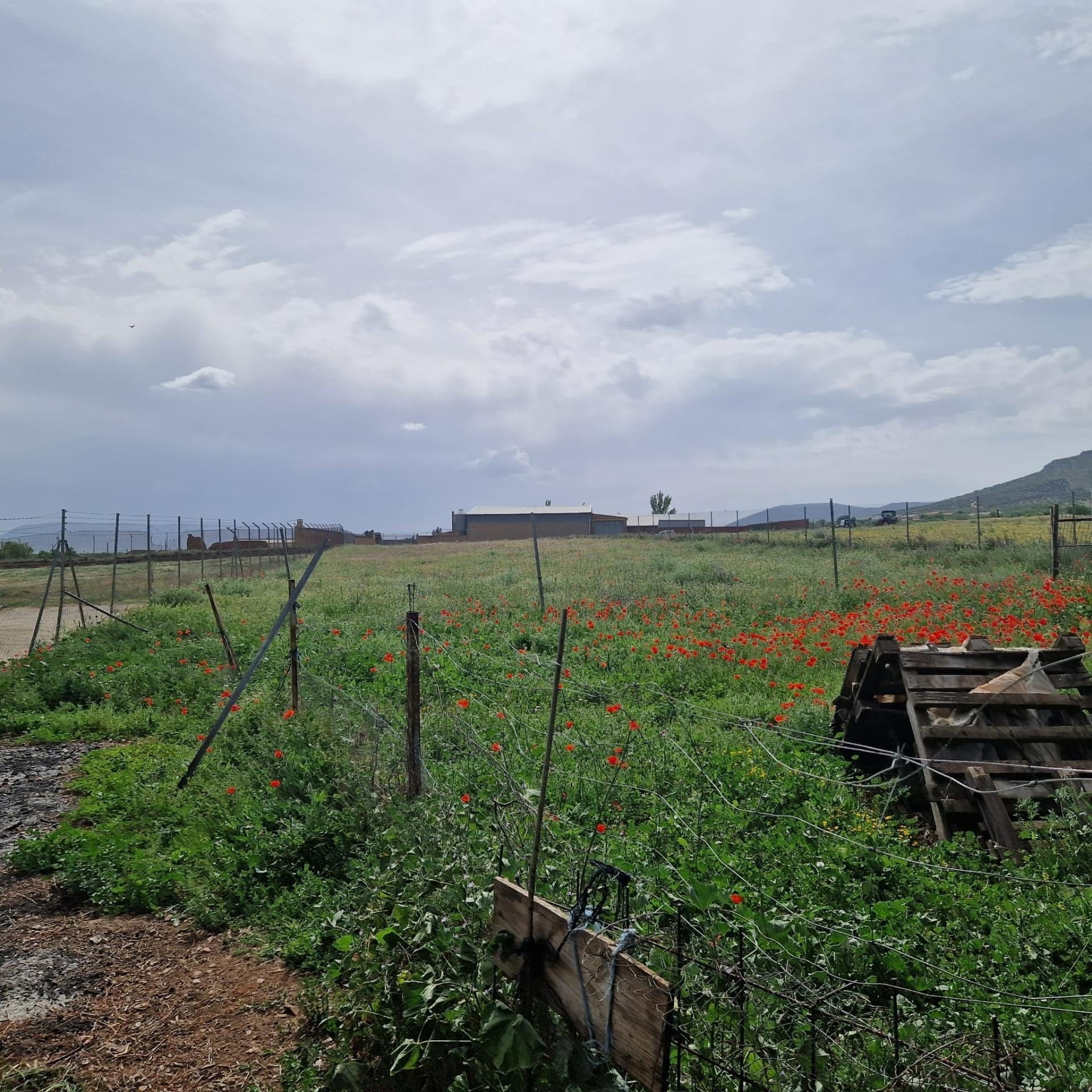 Land in Los Yébenes, Toledo for sale Primary Photo- Image 1 of 2