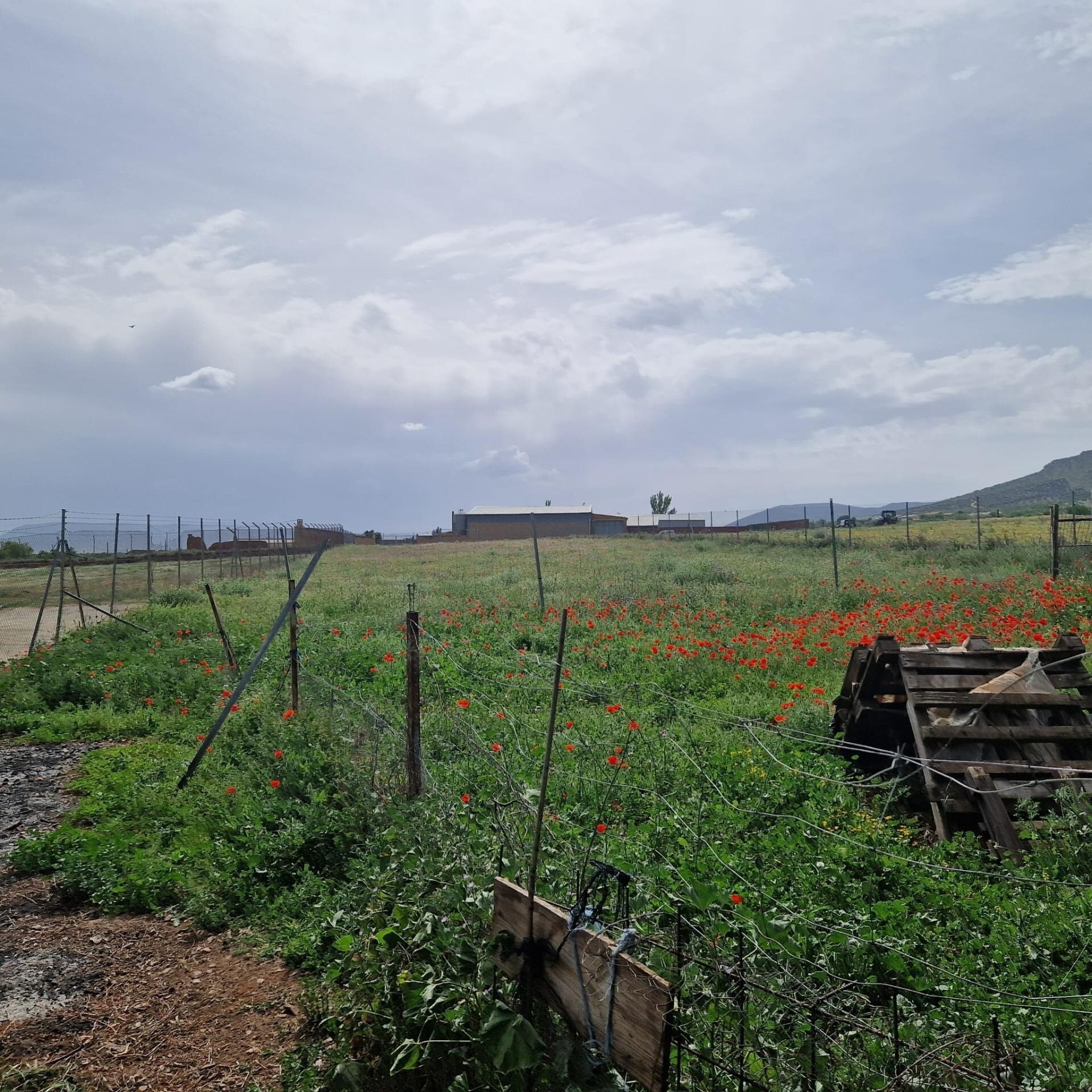 Land in Los Yébenes, Toledo for sale Primary Photo- Image 1 of 2