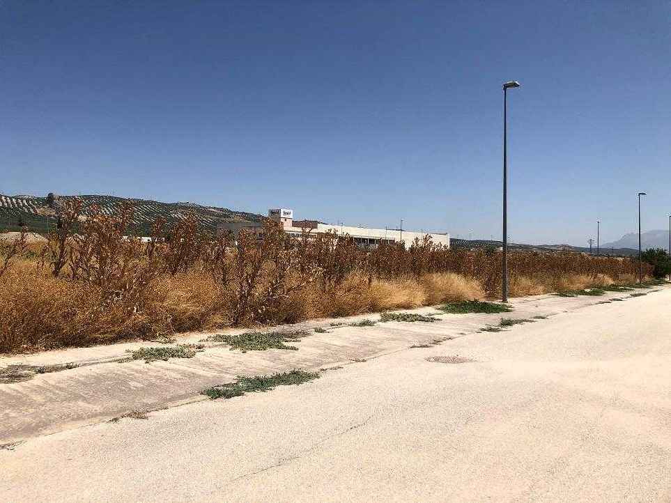 Polígono Industrial el Arco, 85, Valderrubio, Granada à vendre Autre- Image 1 de 5
