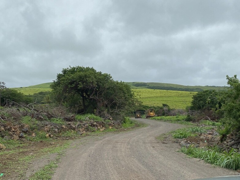 Waiohinu Spur, Naalehu, HI à vendre - Photo principale - Image 1 de 1