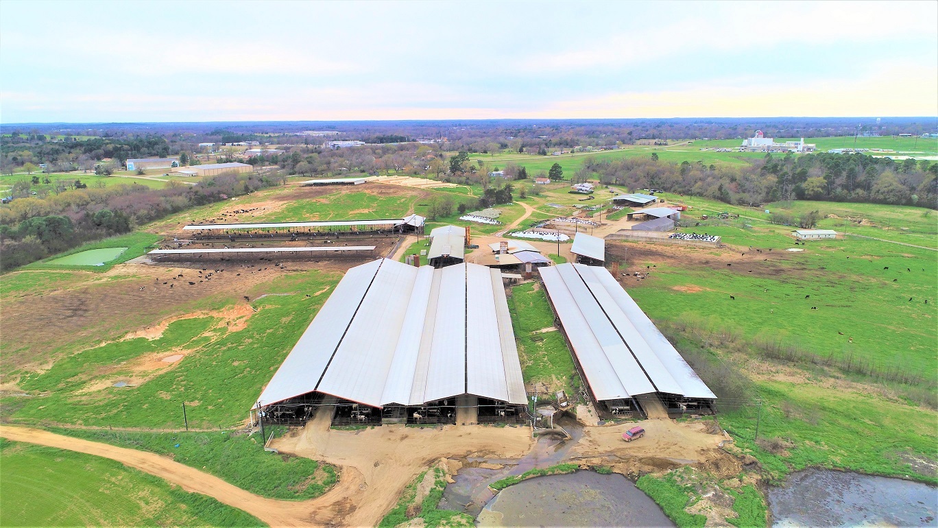 248 County Road 4310, Winnsboro, TX for sale Primary Photo- Image 1 of 52