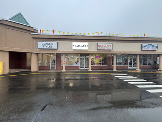 More details for 74-100 Bridge St, East Windsor, CT - Retail for Lease