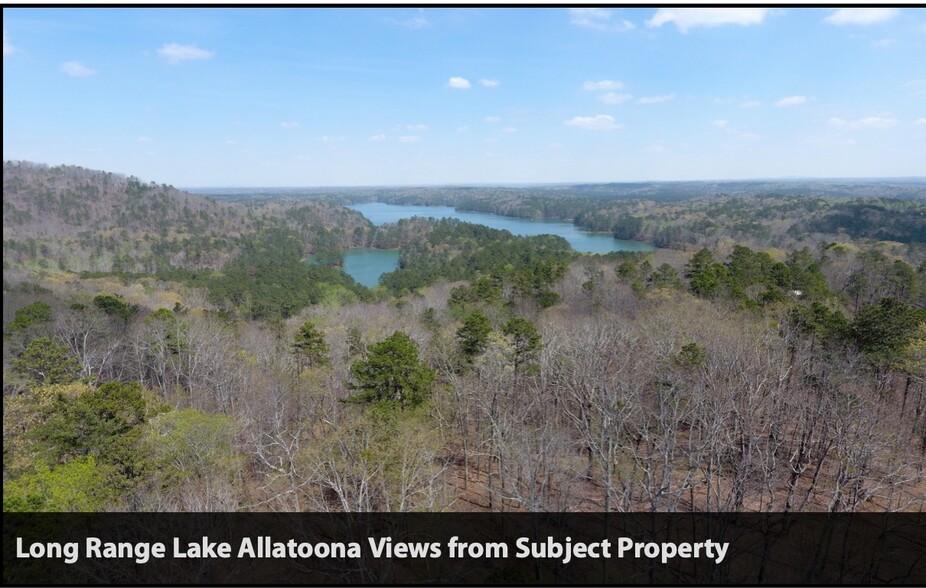 Old Allatoona Road, Emerson, GA for sale - Building Photo - Image 3 of 4