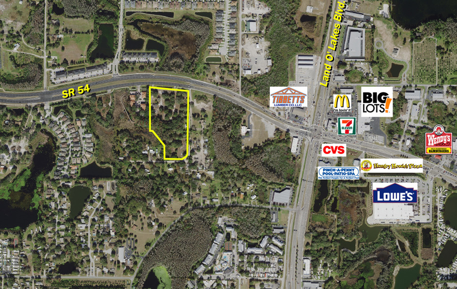 20826 State 54 Rd, Lutz, FL for sale - Other - Image 1 of 2