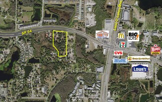 Plus de détails pour 20826 State 54 Rd, Lutz, FL - Terrain à vendre