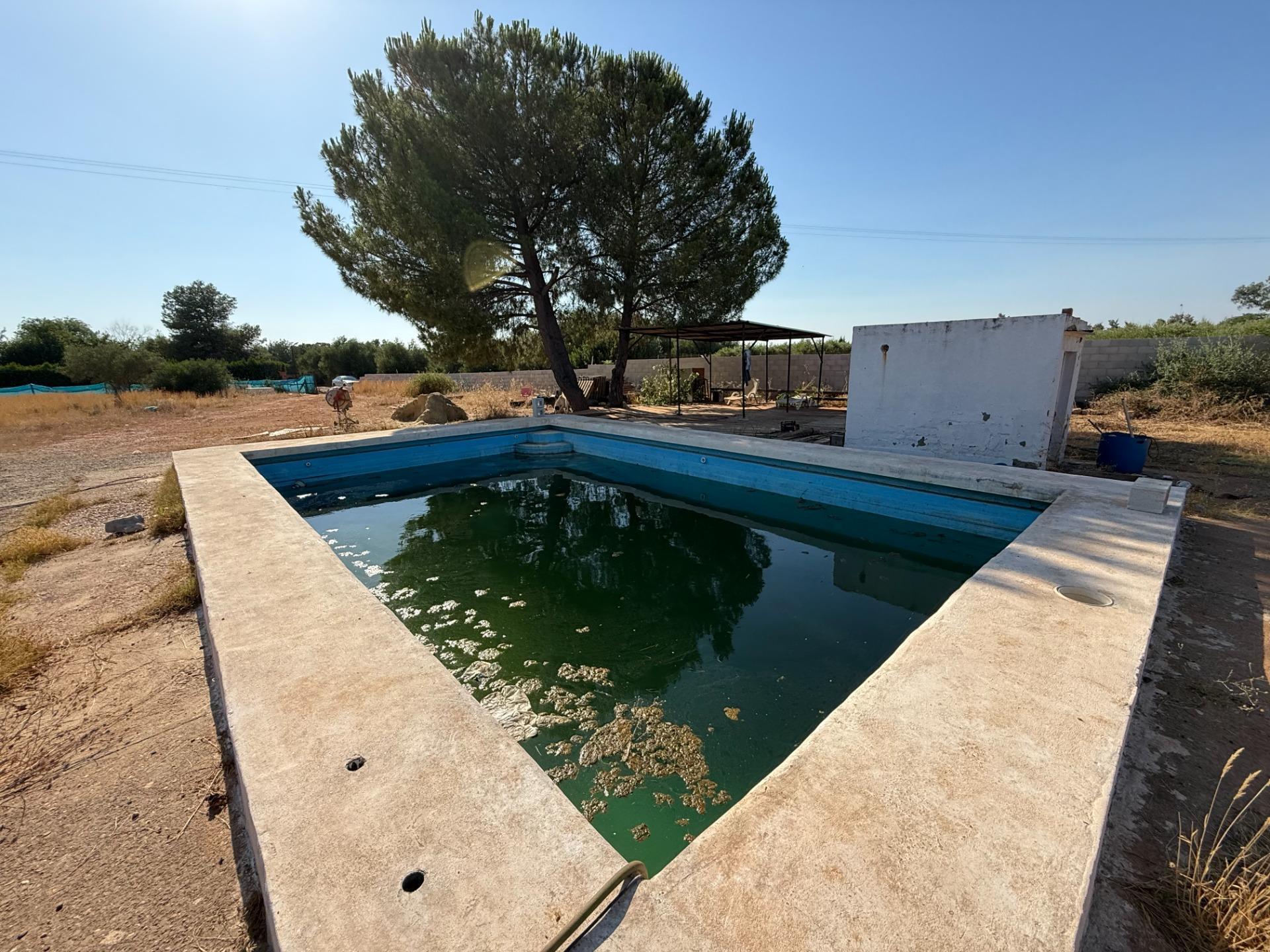 Urbanización del Chaparral, 27, Carmona, Sevilla à vendre Photo du bâtiment- Image 1 de 13