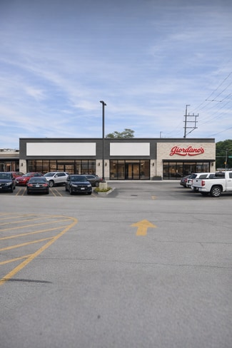 Plus de détails pour 2146 S Mannheim Rd, Westchester, IL - Commerce de détail à louer