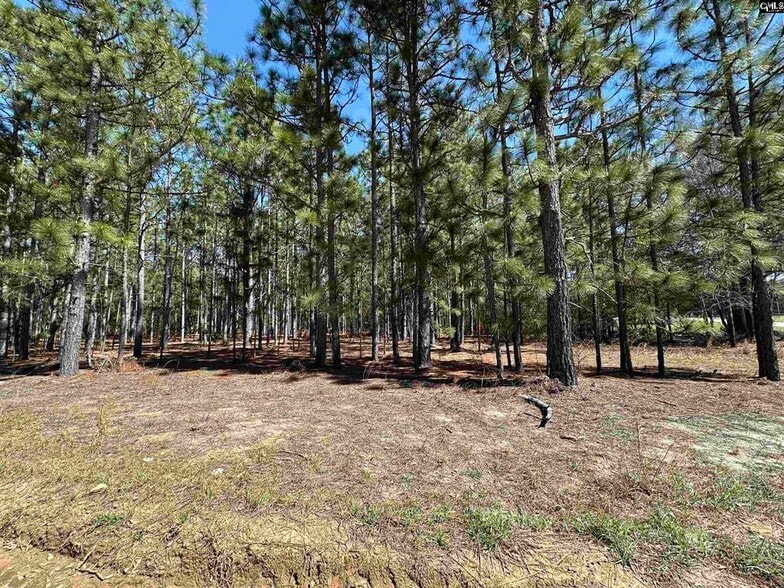 223 Mimosa Dr, Gaston, SC for sale - Site Plan - Image 2 of 2