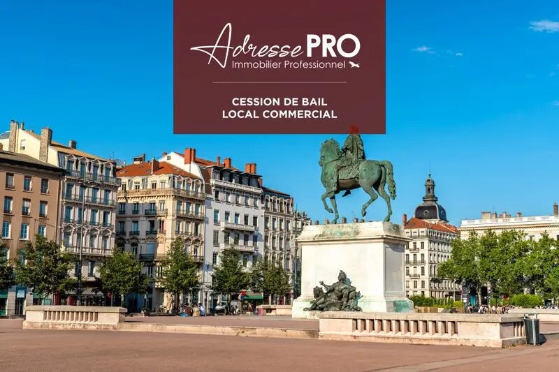 Flex dans Lyon à louer - Aérien - Image 2 de 2