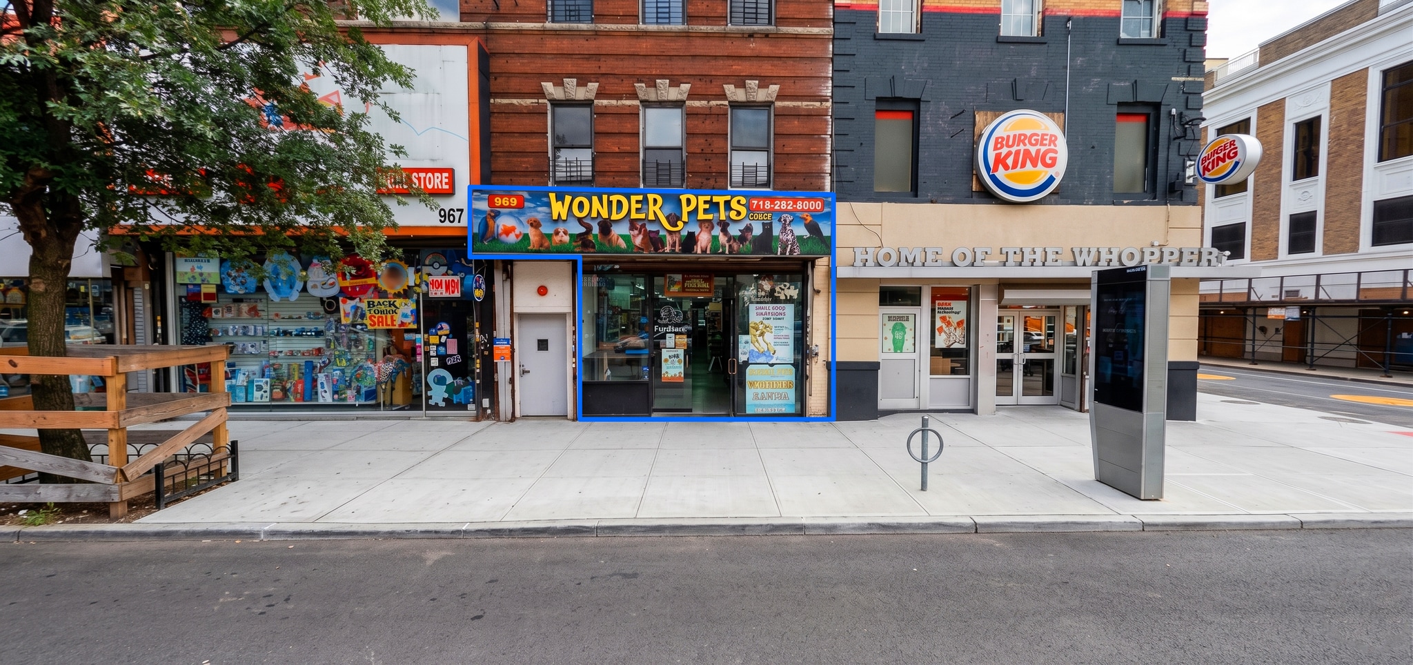 969 Flatbush Ave, Brooklyn, NY for lease Primary Photo- Image 1 of 9