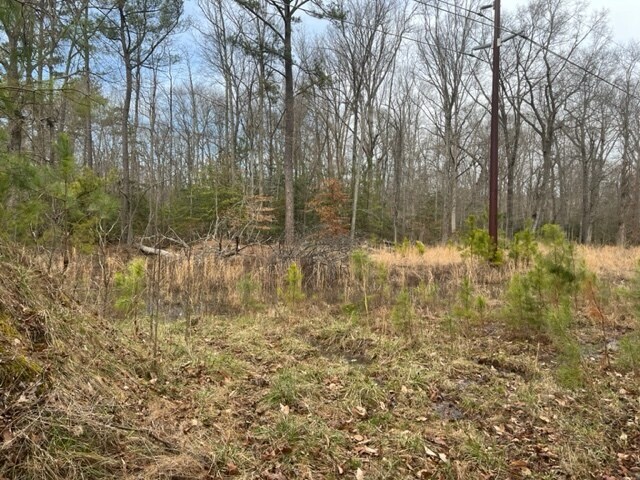 Billingsley Road, Bryans Road, MD à vendre - Autre - Image 2 de 4