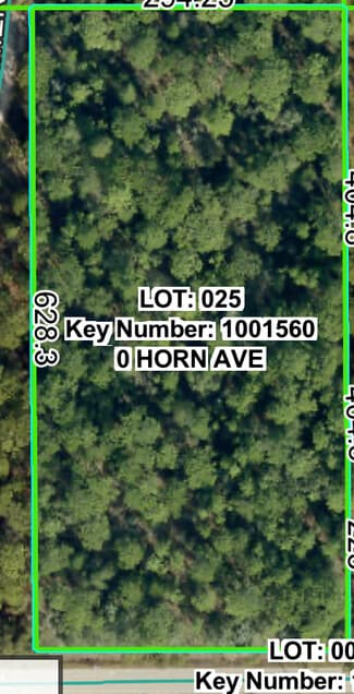 More details for Horn Ave, Brooksville, FL - Land for Sale