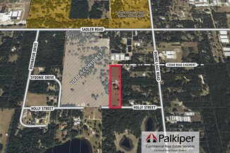 Plus de détails pour Round Lake Rd, Mount Dora, FL - Terrain à vendre