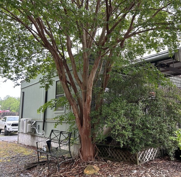 134 Depot St, Bryson City, NC for lease - Building Photo - Image 2 of 10