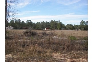 Plus de détails pour Hwy 331, Freeport, FL - Terrain à vendre