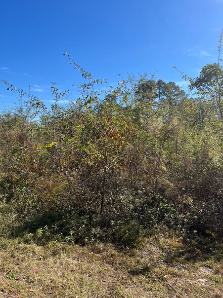 0 Woodbridge Drive, Laurinburg, NC à vendre - Photo du bâtiment - Image 3 de 5