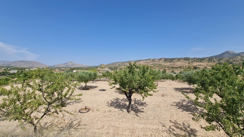 Terrain dans Abanilla, Murcia à vendre - Aérien - Image 3 de 10