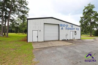 Plus de détails pour 242 Eastman hwy, Hawkinsville, GA - Terrain à vendre