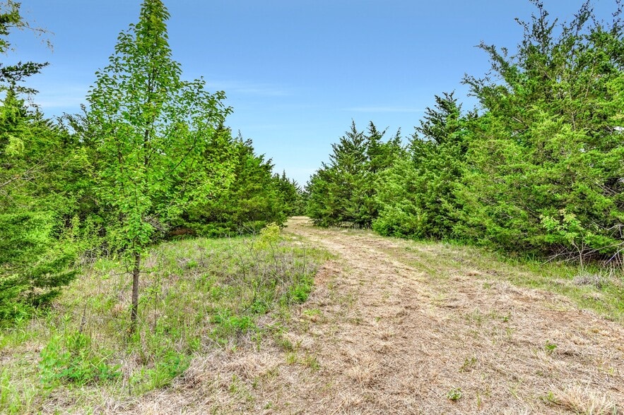 TBD Airport Rd rd, Tioga, TX for sale - Building Photo - Image 3 of 28