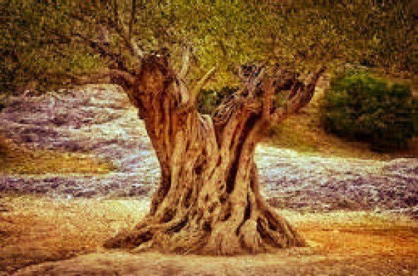 Valenciana, CASTELLÓN DE LA PLANA, Castellón à vendre - Photo du bâtiment - Image 2 de 2