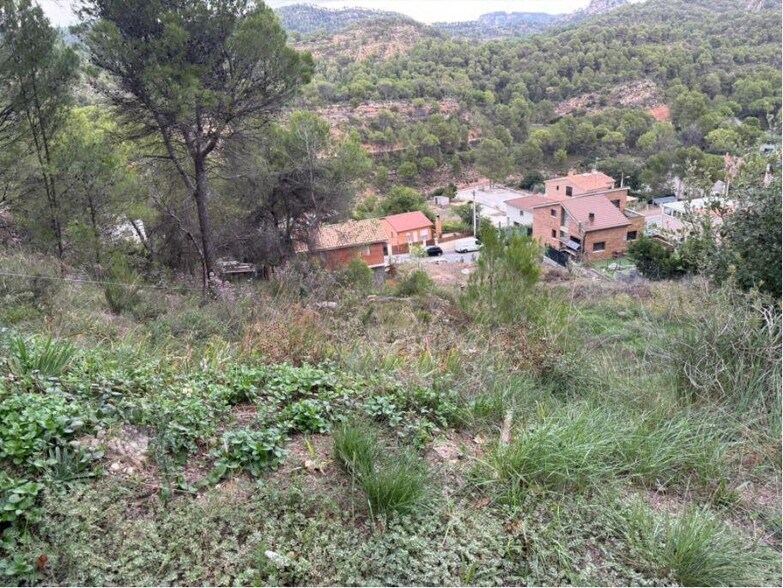 Terrain dans La Pobla de Claramunt, Barcelona à vendre - Photo du bâtiment - Image 3 de 6