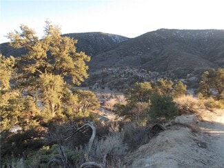 More details for 259-033-09-00-3 San Fernando Trail, Frazier Park, CA - Land for Sale