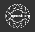 Gems IT Computer Consultant Agency LLC