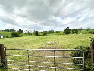 Plus de détails pour Mineveigh Rd, Dungannon - Terrain à vendre