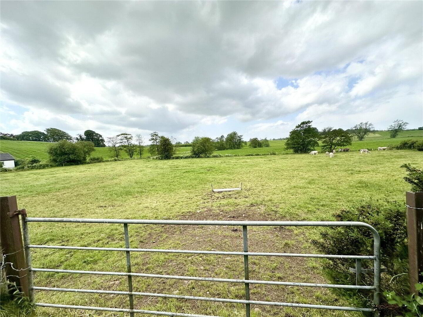 Mineveigh Rd, Dungannon for sale Primary Photo- Image 1 of 5