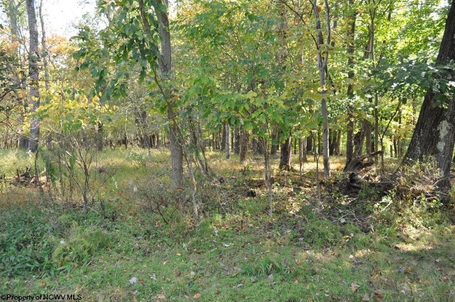 3039 Earl L Core Rd, Morgantown, WV à vendre - Autre - Image 3 de 9