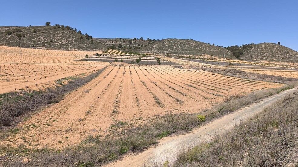 Terrain dans Abanilla, Murcia à vendre - Photo du bâtiment - Image 3 de 4