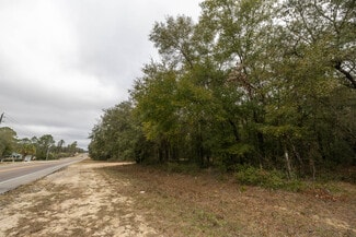 More details for 166 County Road 315, Interlachen, FL - Land for Sale