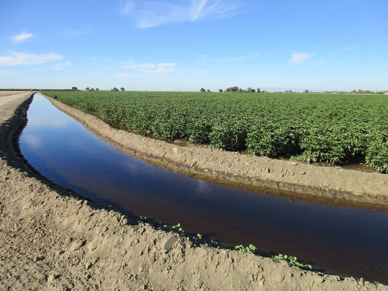 south of Grangeville Blvd. and north of Geneva Ave, Hanford, CA à vendre - Photo du b timent - Image 1 de 1