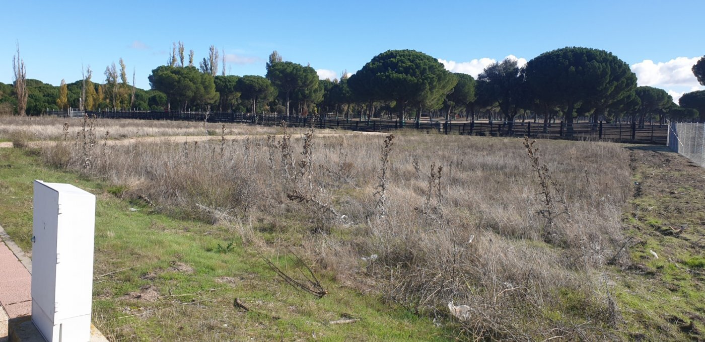 Terrain dans Aldeamayor de San Martín, Valladolid à vendre Photo principale- Image 1 de 26