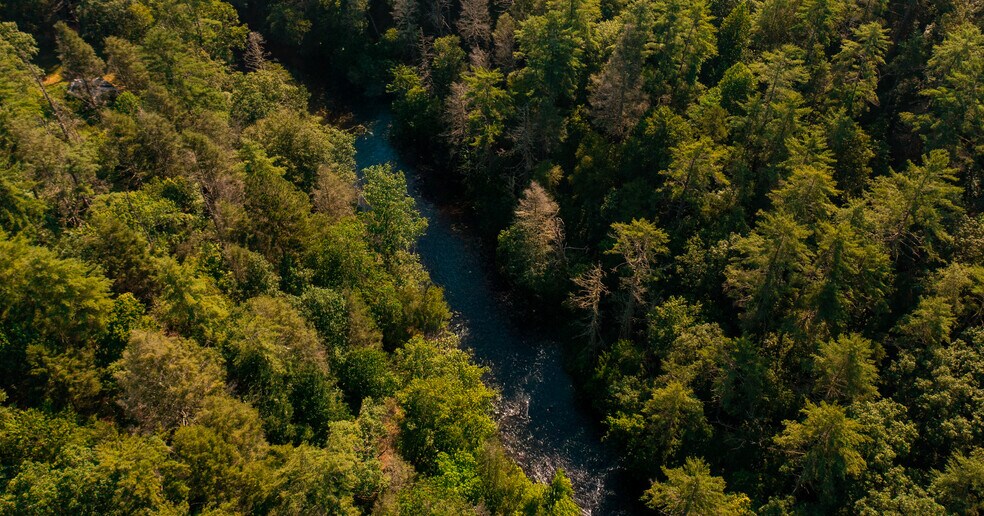 0 Old Rock Creek Rd, Blue Ridge, GA à vendre - Photo du bâtiment - Image 3 de 24