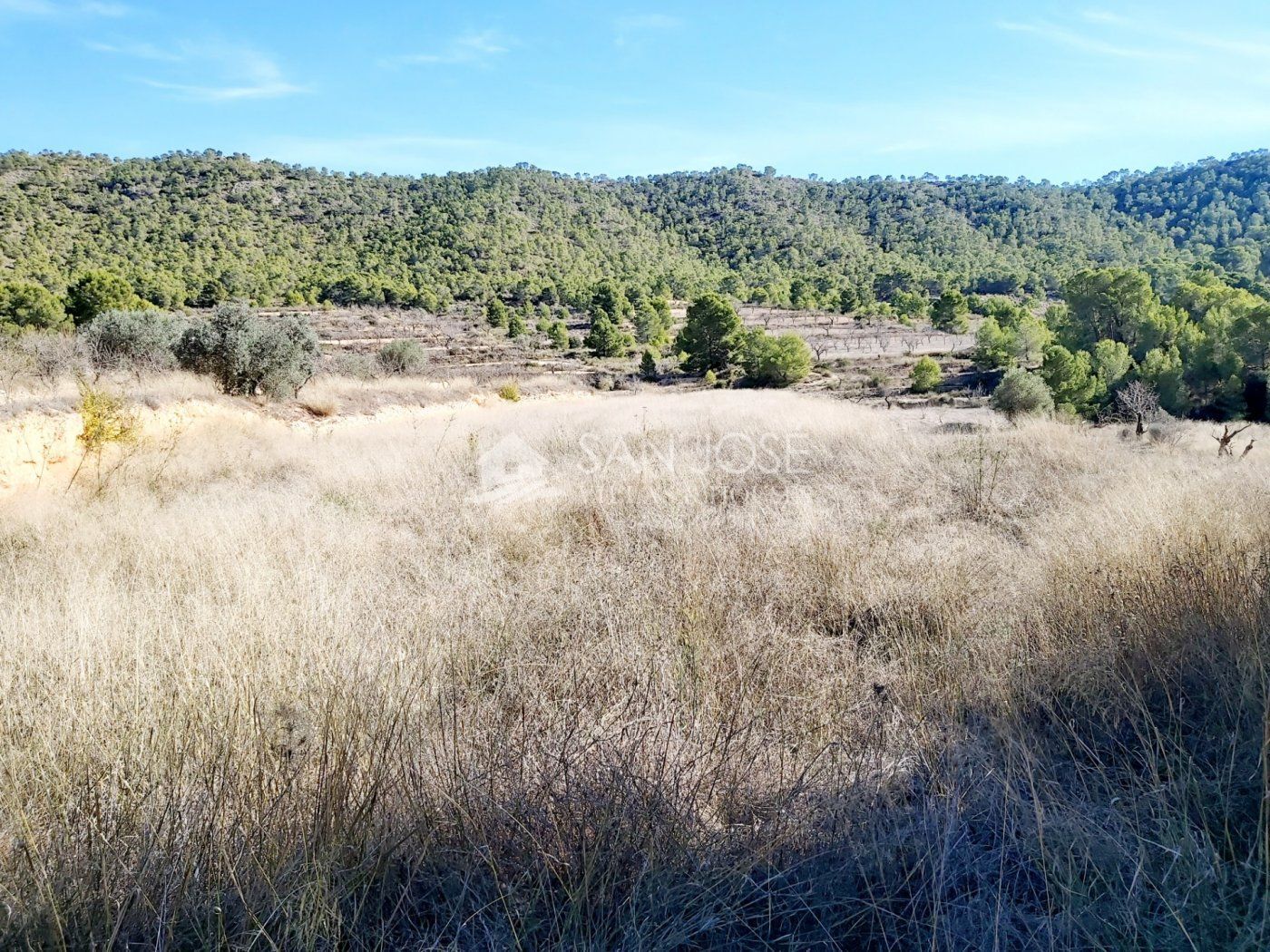 Land in La Romana, Alicante for sale Aerial- Image 1 of 4