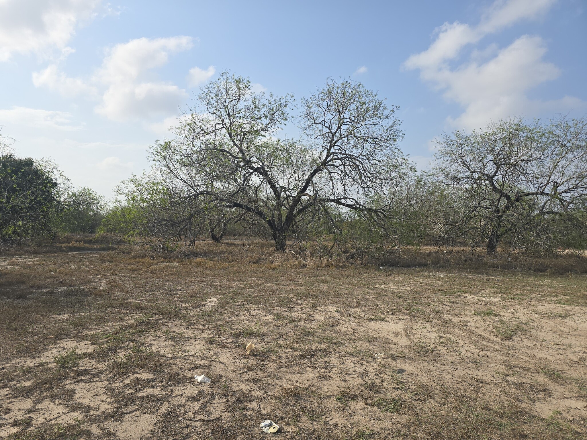 Laredo Rd Brownsville Tx 78520, Brownsville, TX for sale Primary Photo- Image 1 of 5