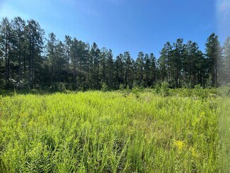 Plus de détails pour 001 Johnson Rd, Mineral, VA - Terrain à vendre