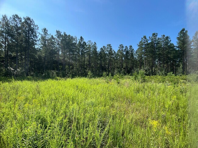 More details for 001 Johnson Rd, Mineral, VA - Land for Sale