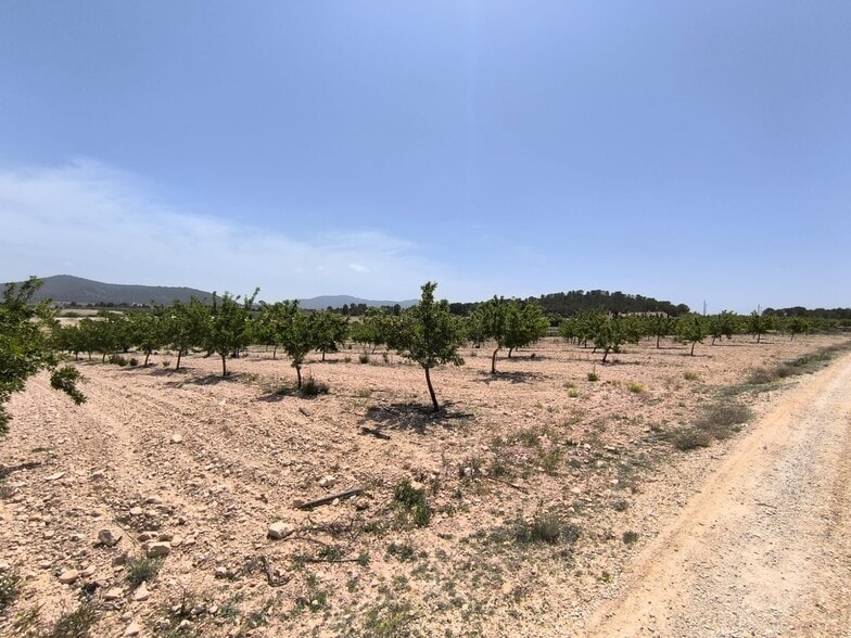 Land in Úbeda, Jaén for sale - Primary Photo - Image 2 of 6